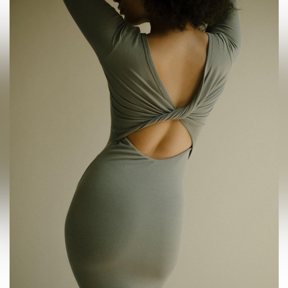 Alix NYC Lester Dress